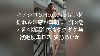 ハメシロ＆Hcupおっぱい超揺れ＆汗感が鲜明に…汗×潮×涎 4K撮影 体液ダクダク禁欲絶顶エロス 梦乃あいか