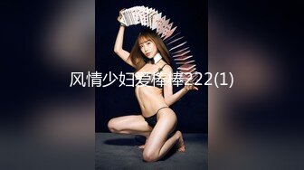 风情少妇爱棒棒222(1)