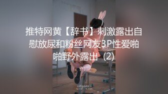 推特网黄【辞书】刺激露出自慰放尿和粉丝网友3P性爱啪啪野外露出  (2)