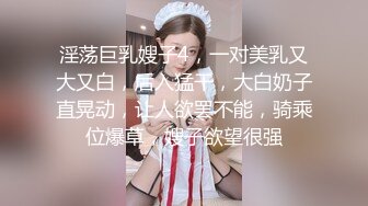 淫荡巨乳嫂子4，一对美乳又大又白，后入猛干，大白奶子直晃动，让人欲罢不能，骑乘位爆草，嫂子欲望很强