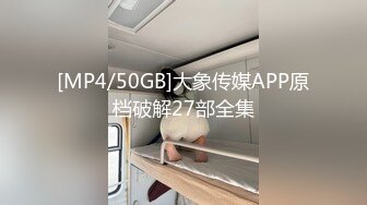 [MP4/50GB]大象传媒APP原档破解27部全集