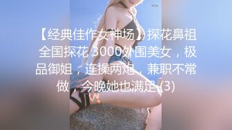 【经典佳作女神场】探花鼻祖 全国探花 3000外围美女，极品御姐，连操两炮，兼职不常做，今晚她也满足 (3)