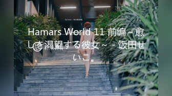 Hamars World 11 前编～愈しを渇望する彼女～ - 饭田せいこ。