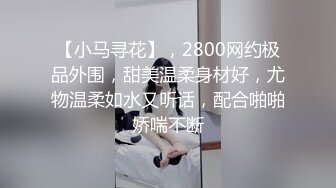 【小马寻花】，2800网约极品外围，甜美温柔身材好，尤物温柔如水又听话，配合啪啪娇喘不断