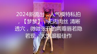 2024新流出，人气模特私拍，【梦梦】，无内肉丝 清晰透穴，微微张开的两瓣唇若隐若现，大饱眼福佳作