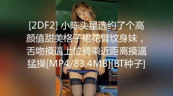 [2DF2] 小陈头星选约了个高颜值甜美格子裙花臂纹身妹，舌吻摸逼上位骑乘近距离摸逼猛操[MP4/83.4MB][BT种子]