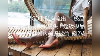 【精品CD】私房流出❤️极品无内！屁股坐镜头！超级极品美女没穿内内美逼被偷_窥2V