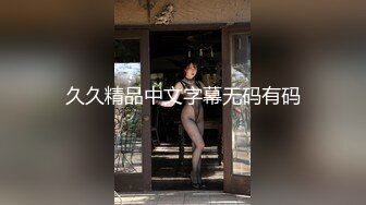 久久精品中文字幕无码有码