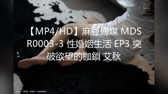 【MP4/HD】麻豆傳媒 MDSR0003-3 性婚姻生活 EP3 突破欲望的枷鎖 艾秋