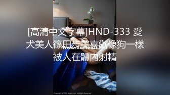 [高清中文字幕]HND-333 愛犬美人篠田步美喜歡像狗一樣被人在體內射精