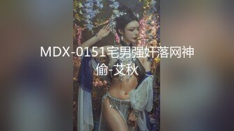 MDX-0151宅男强奸落网神偷-艾秋