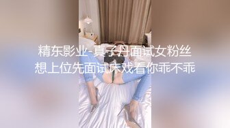 精东影业-真子丹面试女粉丝想上位先面试床戏看你乖不乖