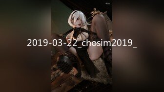 2019-03-22_chosim2019_