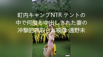 町内キャンプNTR テントの中で何度も中出しされた妻の冲撃的寝取られ映像 通野未帆