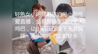 [MP4/610MB]麻豆傳媒 MD0190-1 我是蘇暢 我回來了 EP1 男友視角的濕蜜抽插之旅 蘇暢