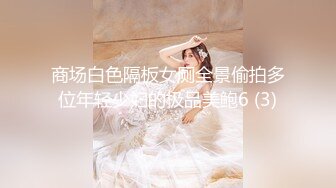 商场白色隔板女厕全景偷拍多位年轻少妇的极品美鲍6 (3)