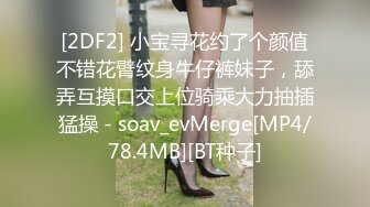 [2DF2] 小宝寻花约了个颜值不错花臂纹身牛仔裤妹子，舔弄互摸口交上位骑乘大力抽插猛操 - soav_evMerge[MP4/78.4MB][BT种子]