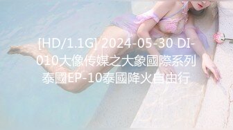 [HD/1.1G] 2024-05-30 DI-010大像传媒之大象國際系列泰國EP-10泰國降火自由行