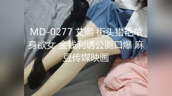 MD-0277 艾熙 街头猎艳单身欲女 金钱利诱公厕口爆 麻豆传媒映画