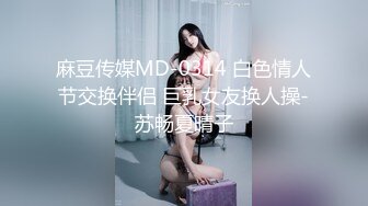 麻豆传媒MD-0314 白色情人节交换伴侣 巨乳女友换人操-苏畅夏晴子