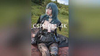 CSPL-011-4K