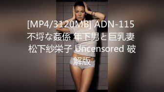 [MP4/3120MB] ADN-115 不埒な姦係 年下男と巨乳妻 松下紗栄子 Uncensored 破解版