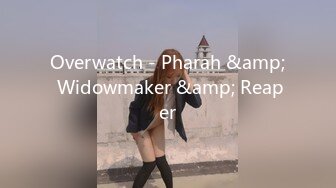 Overwatch - Pharah &amp; Widowmaker &amp; Reaper