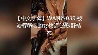 【中文字幕】WANZ-039 被淩辱墮落的女教師 波多野結衣