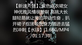 【新速片遞】 紫色连衣裙女神优雅风情很赞啊 高挑大长腿轻易就让男的冲动性奋，扒开裙子抠搓吸吮奋力插进去猛烈冲刺【水印】[1.68G/MP4/01:17:30]